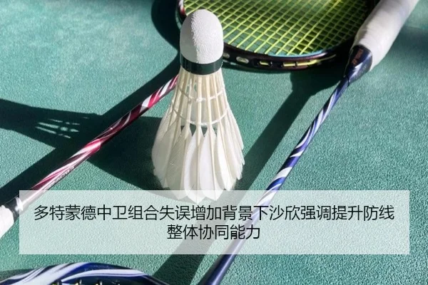 多特蒙德中卫组合失误增加背景下沙欣强调提升防线整体协同能力